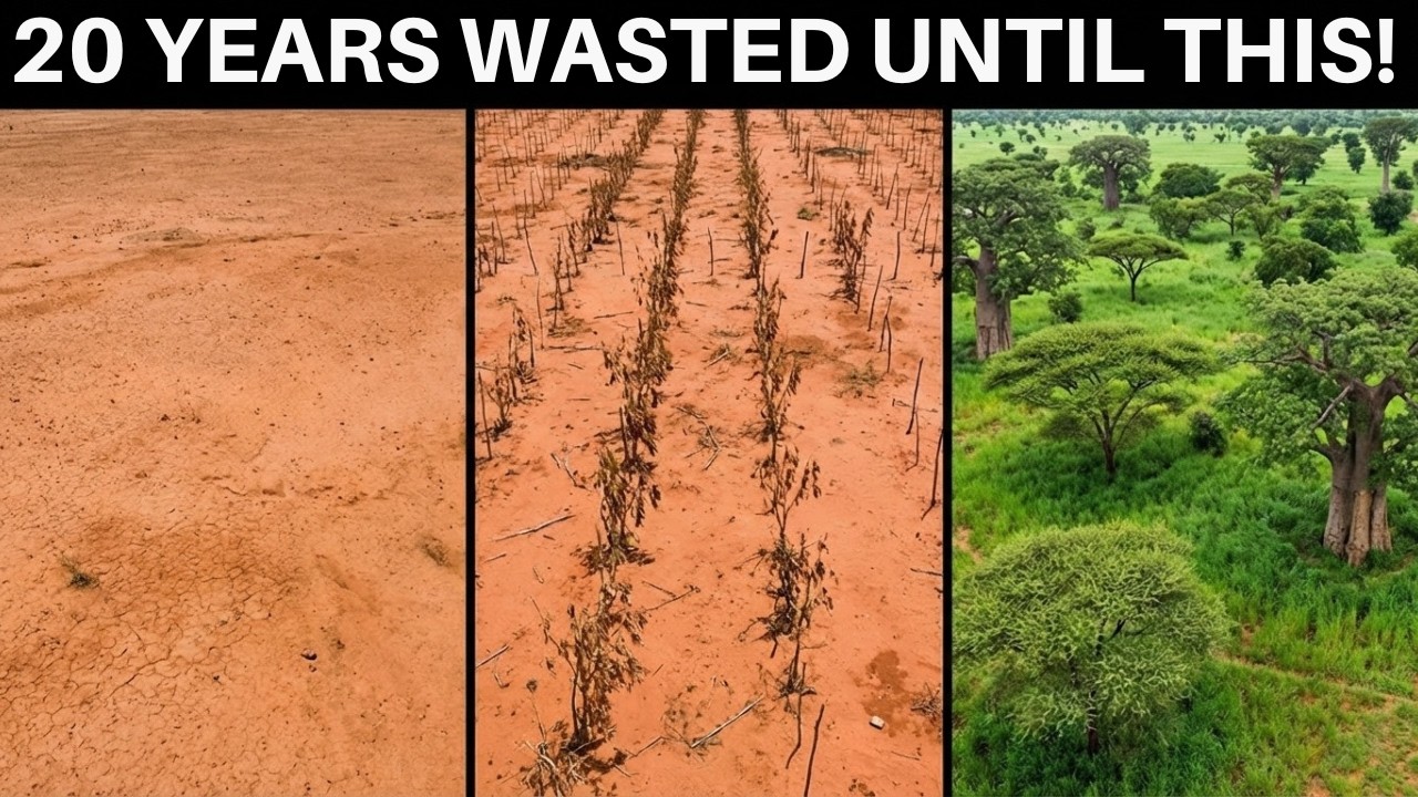 The Sahel Was Planting the Wrong Trees for Decades — Here's What Actually Works