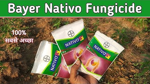 Nativo Fungicide || Bayer Nativo use  in hindi पूरी जानकारी