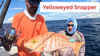 Key Largo Deep Drop! Huge Yelloweye Snapper from 400 Feet Down