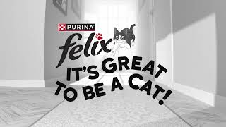 FELIX It's Great to be a Cat - 15"