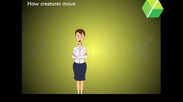 How Creatures Move - English Poem || Class 3 || Doubtbox