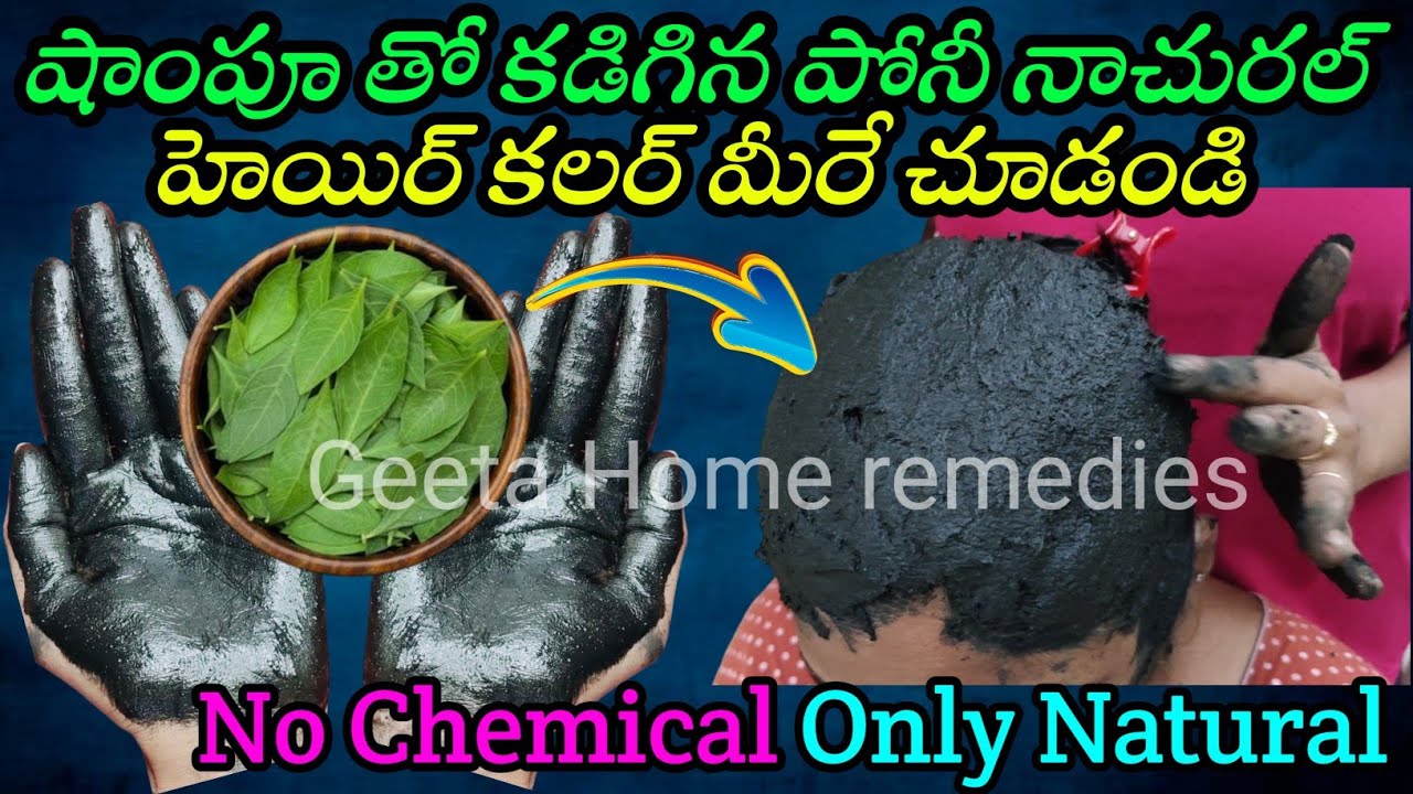 కెమికల్ వద్దు నాచురల్ ముద్దు😍 షాంపూతో కడిగిన పోనీ హెయిర్ కలర్ తెల్ల జుట్టు ఒక్కసారికే నల్లగా మారింది