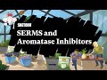 SERMs & Aromatase Inhibitors in Cancer Treatment (Part 1) | Sketchy Medical | USMLE Step 1