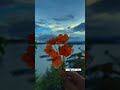صباح الخير من وادي الفرات ديرالزور نهرالفرات تصمايم مونتاحات سوريا تركيا العراق السعودية الكويت 