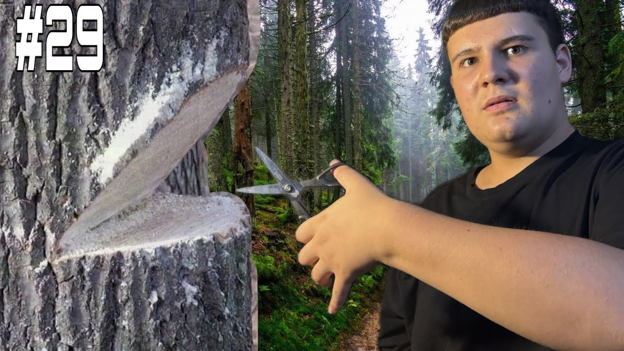 30 ЗАДАНИЙ ЗА 24 ЧАСА ЧЕЛЛЕНДЖ !