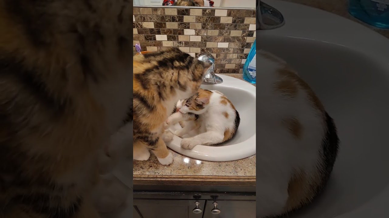 I am just watching you, watching you all day long