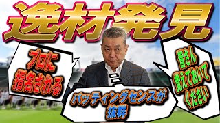 【逸材】江川卓が太鼓判！センバツで輝いていた〇〇選手！外国人の急な退団はなぜ起きる！？