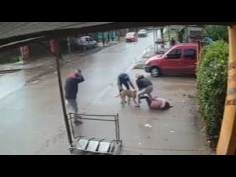 Dramatic moment a pitbull bites a seven-year-old girl
