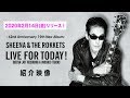 鮎川誠によるシーナ＆ロケッツ『LIVE FOR TODAY！』紹介映像