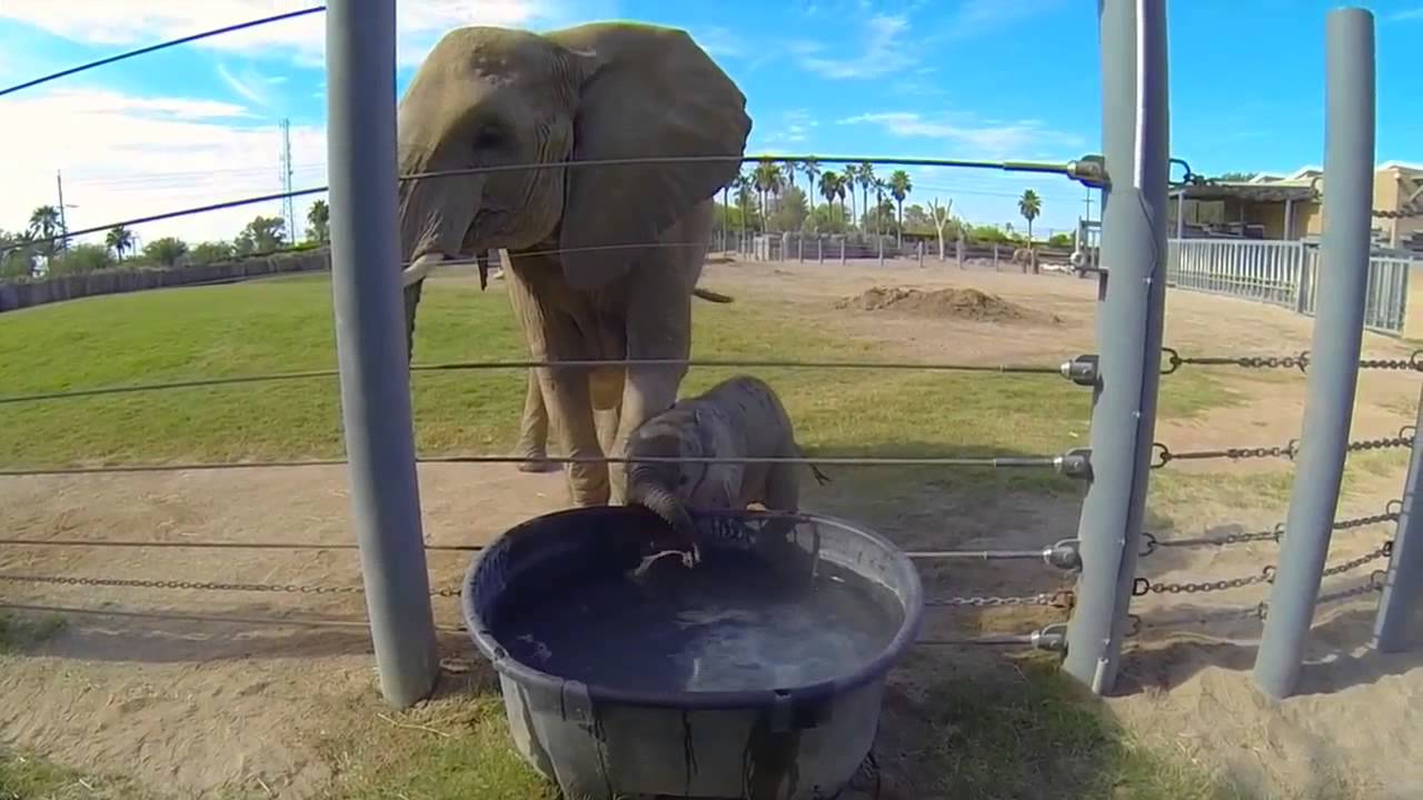 Webcam video from September 18