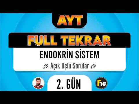 Endokrin Sistem Ucu Açık Sorular AYT Full Tekrar Biyoloji F10 Serisi