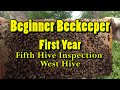 ❶ Beginner beekeeper - The nectar flow is ON! - Fifth Hive Inspection - Part 1 West Hive FLASHBACK