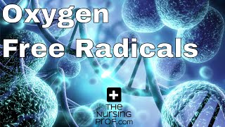 Oxygen Free Radicals Damage the Body