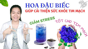 Sử dụng nước hoa đậu biếc đúng cách giúp giảm căng thẳng Cải thiện sức khỏe tim mạch