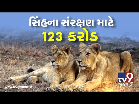 Rs 123 crore allotted for conservation of Gir lions: Ganpat Vasava