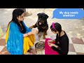 Sapna and Anshu are ignoring my dog jerry||funny dog video.