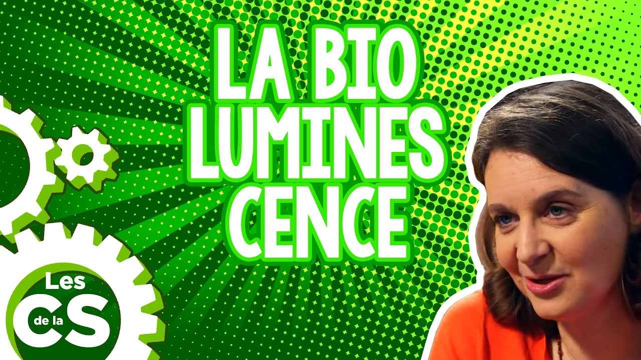 Pleine lumière sur la bioluminescence - Les chroniques de la science