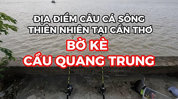 CÂU CÁ SÔNG Ở BỜ KÈ CẦU QUANG TRUNG CẦN THƠ