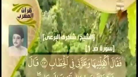 الشيخ طه الفشني مقطع من سورة  ص