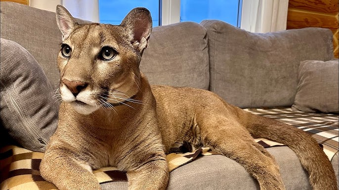 Монтана Фишберн