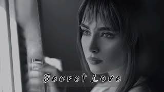 ZERRID - Secret Love (Original Mix) Resimi