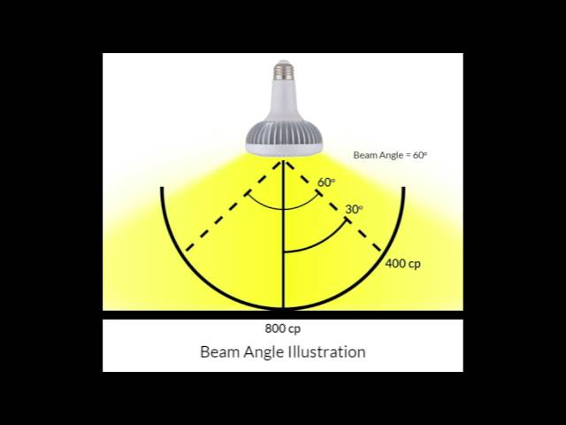 Everything about Beam Angle in Led Lighting - GRNLED