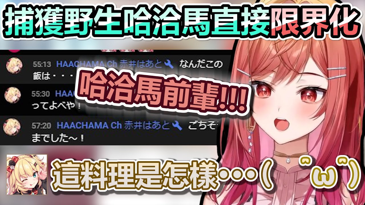 料理便宜到連野生哈洽馬都出現送問號w！社長看到直接限界化【Hololive中文】【Vtuber中文】【一条莉々華】