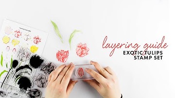 Altenew Layering Video - Exotic Tulips