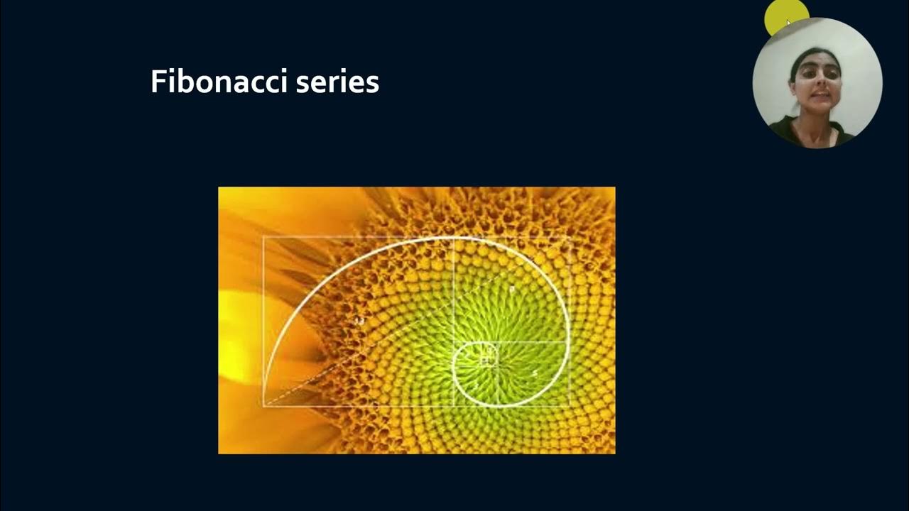 Dynamic Programming |#recursion |#fibonacci | day0 - YouTube