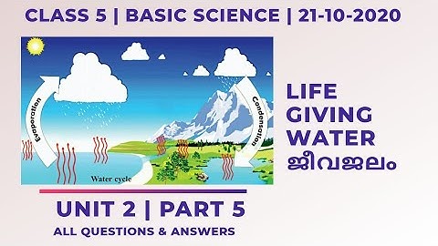 Class 5 | Basic Science | Life Giving Water | Part 5 Worksheet | Kite Victers Firstbell | 21-10-2020