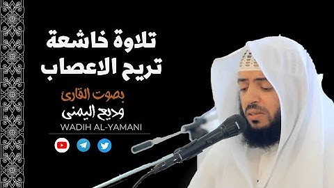 تلاوة هادئة تساعدك علي راحة البال بصوت القارئ وديع اليمني