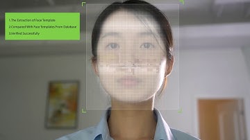 PFace202 introduction video