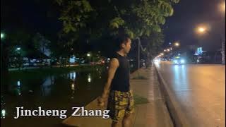 Jincheng Zhang - Elephant I Love You (Instrumental Song) (Background Music) (Official Music Audio)