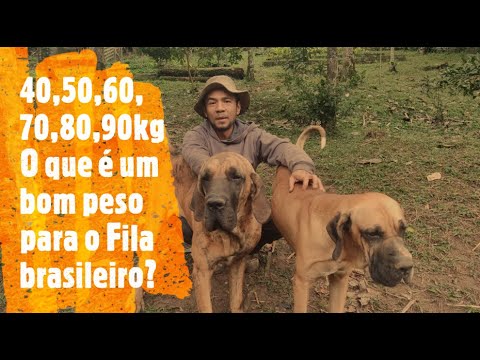 CALMARIA NA CHÁCARA  70kg? um limite diplomático e moralizador