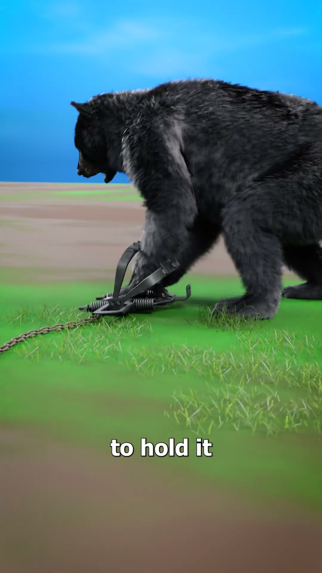 How Bear Traps Work ?