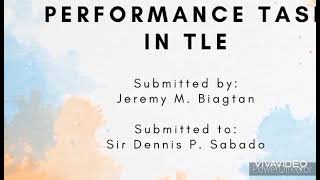PERFORMANCE TASK IN TLE (LAUNDRY PROCESS)