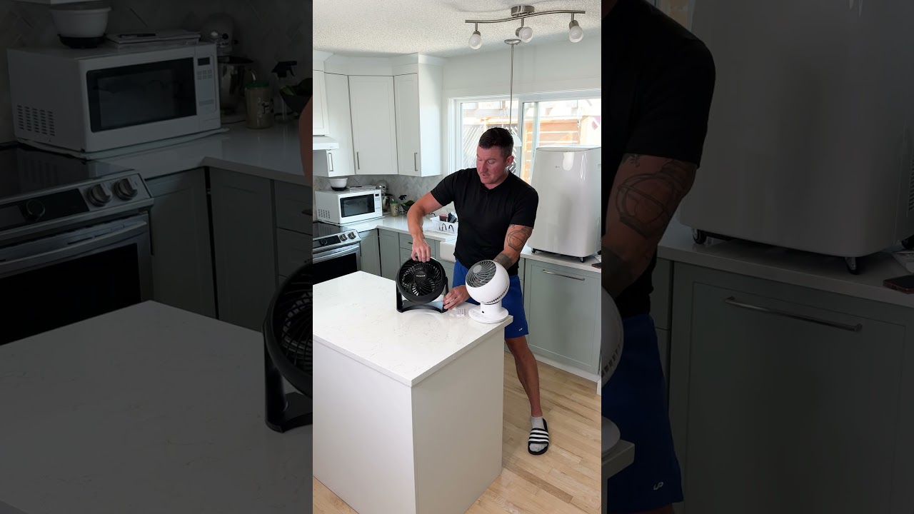 Обзор настольного вентилятора Woozoo Globe — ЧЁРТ ВОЗЬМИ!