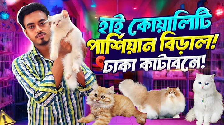Watch the video about Cute Persian cat collection,😻BestCats in Dhaka Katabon.