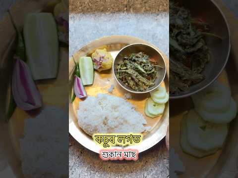 কচু লগত Xukan mas 🐠❤️😍 #youtubeshorts #shorts