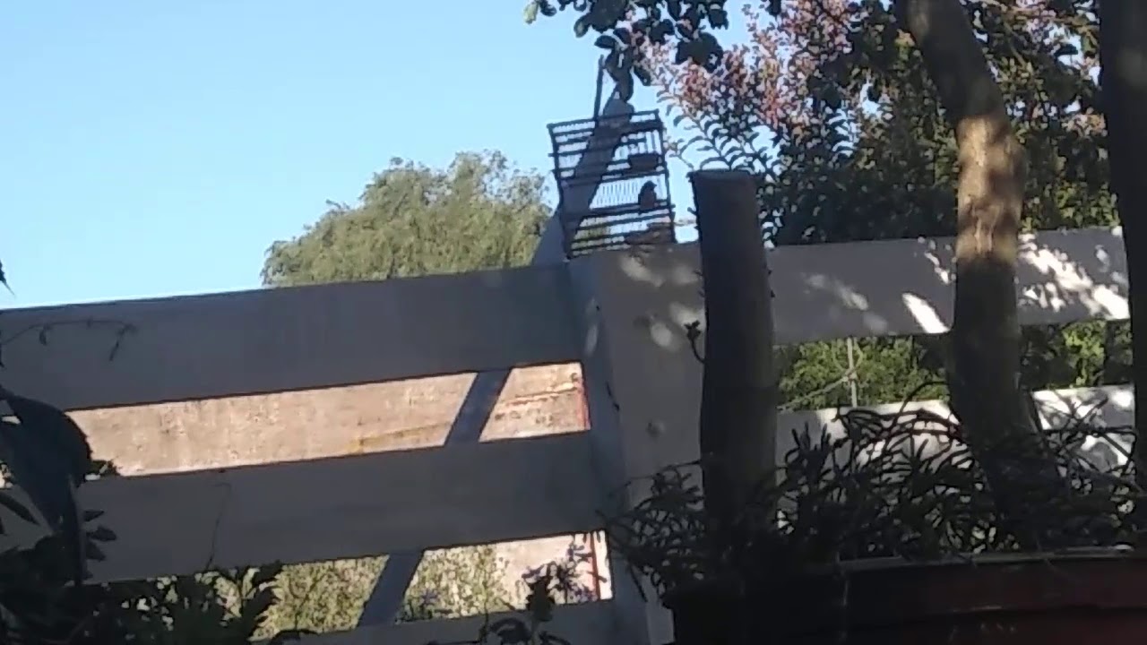 Otro corbata 