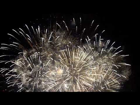 Animated fireworks festival motion background - Happy New year 2022  Free HD 4k Videos -No Copyright
