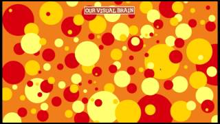 Auditory Matching Our Visual Brain