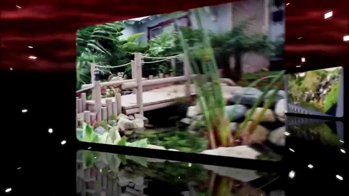 Water Falls Naturally- Design a Pond by Douglas Ho...