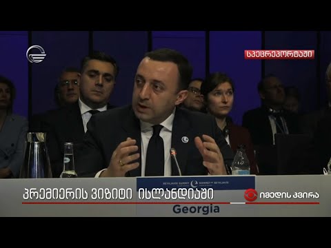 პრემიერის ვიზიტი ისლანდიაში