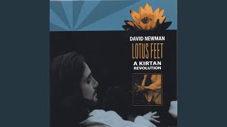 Video thumbnail of "David Newman - Sita Ram"