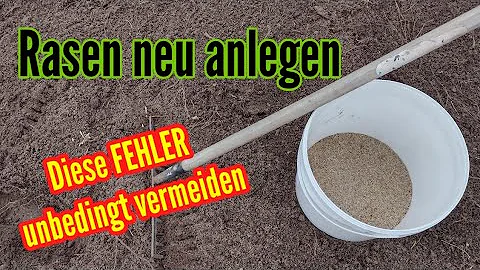 Kann man rasensamen einfach auf Rasen streuen?
