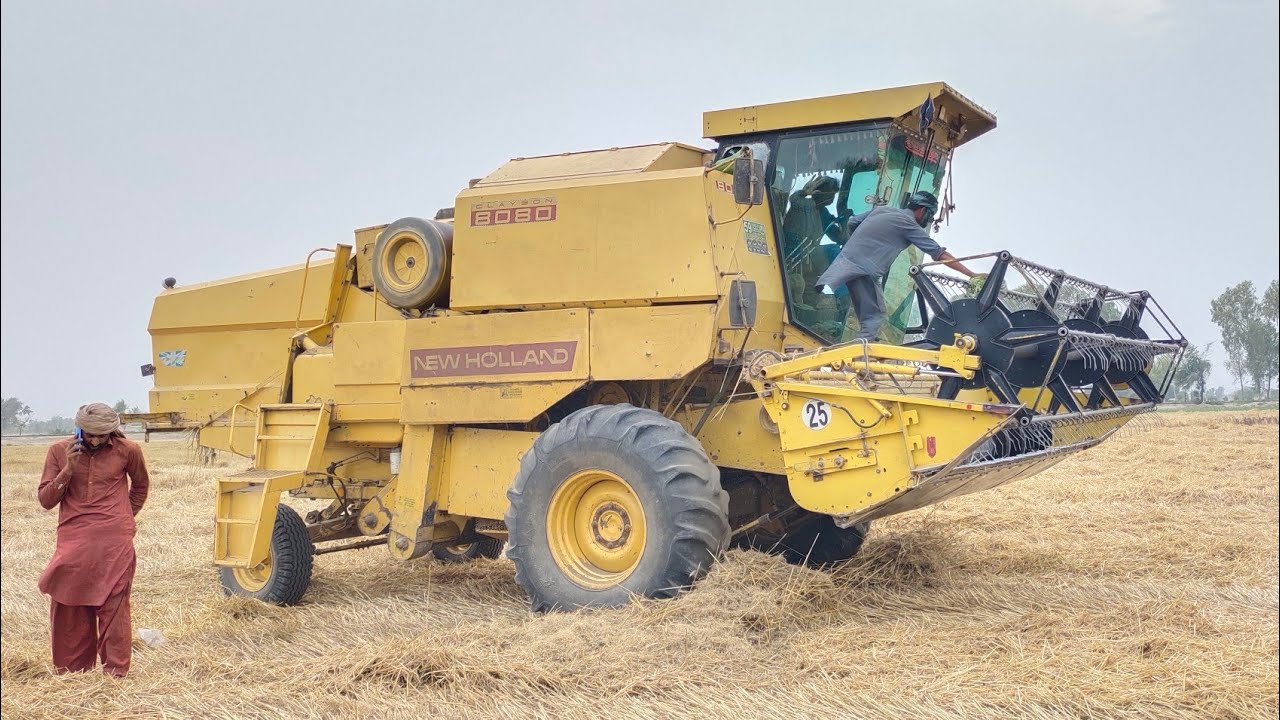 Wheat harvesting season 2023 | Mashallah farmers getting excellent yield