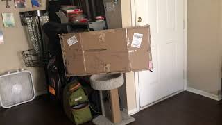 Cat Destroys Tv While Watching Discf