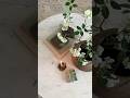 Coffee Table Styling With Things You Already Have #shorts #homedecor #diy
