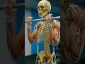 😱Rose daily 50 full up☠️ to kya hoga🧐#shortsfeed  #viral  #gym #3d